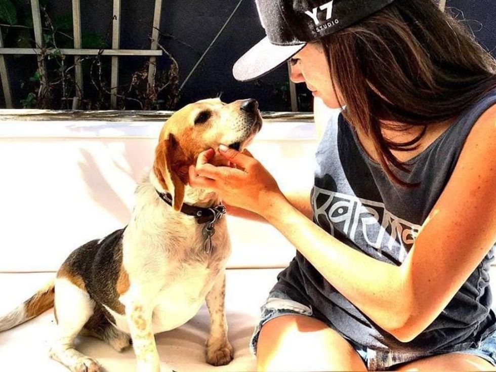 The Story of Meghan Markle’s Rescue Beagle Is a Reminder That Even at Our Lowest Point, We Can Still Live Beyond Our Wildest Dreams