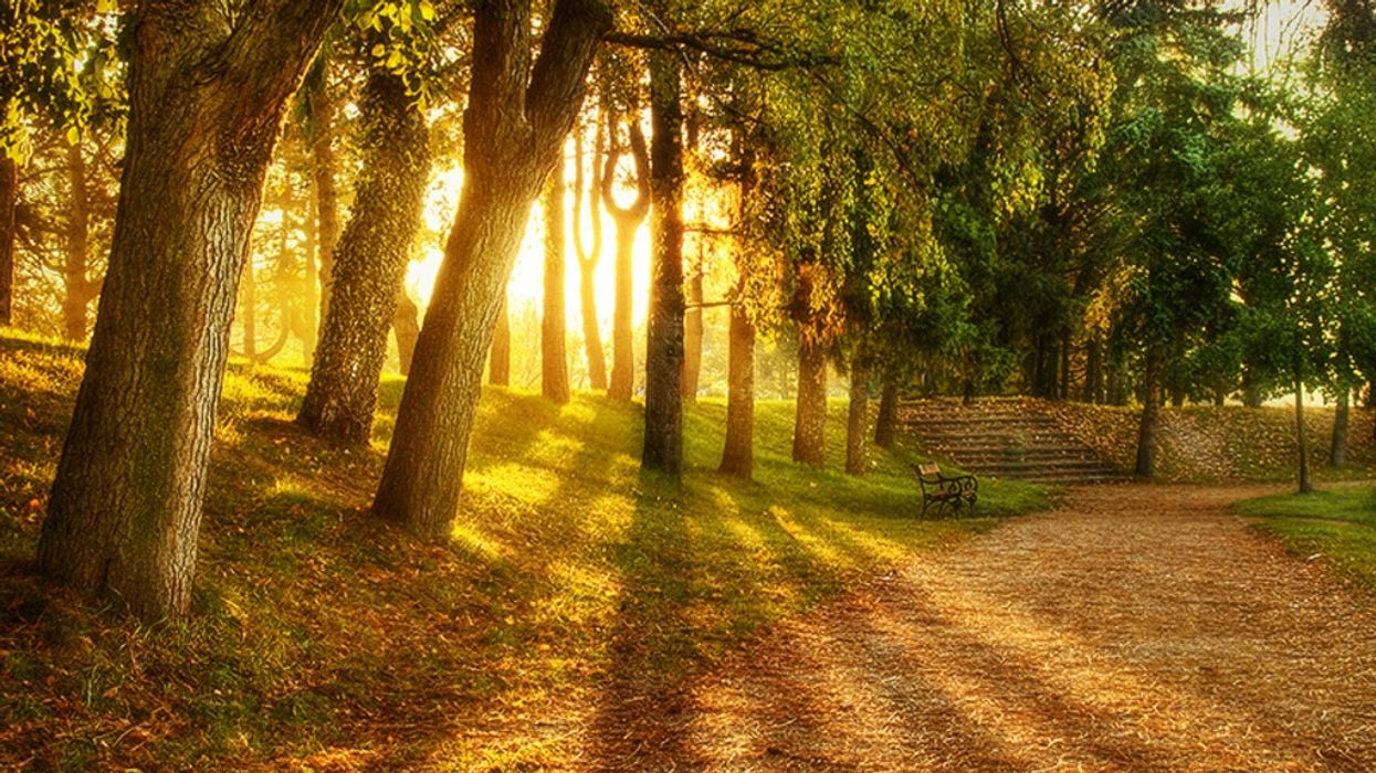 Do You Know What Makes You Happy?