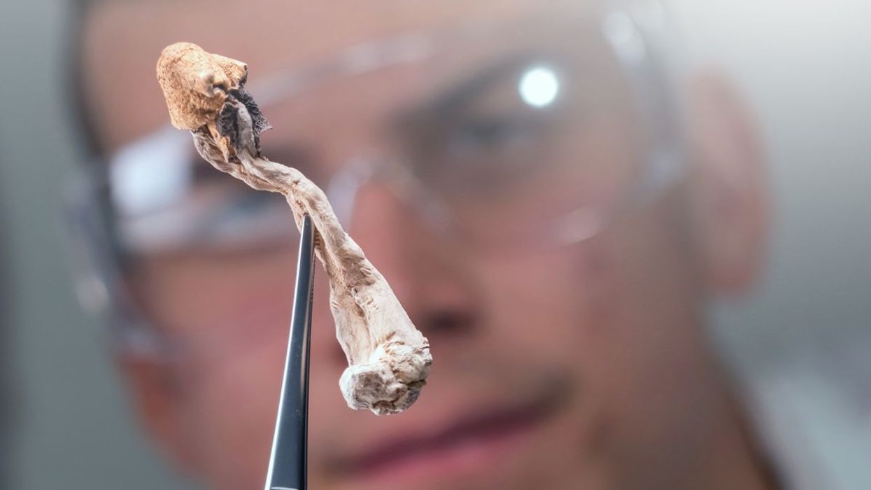 Can Microdosing Psychedelics Boost Your Mental Health?