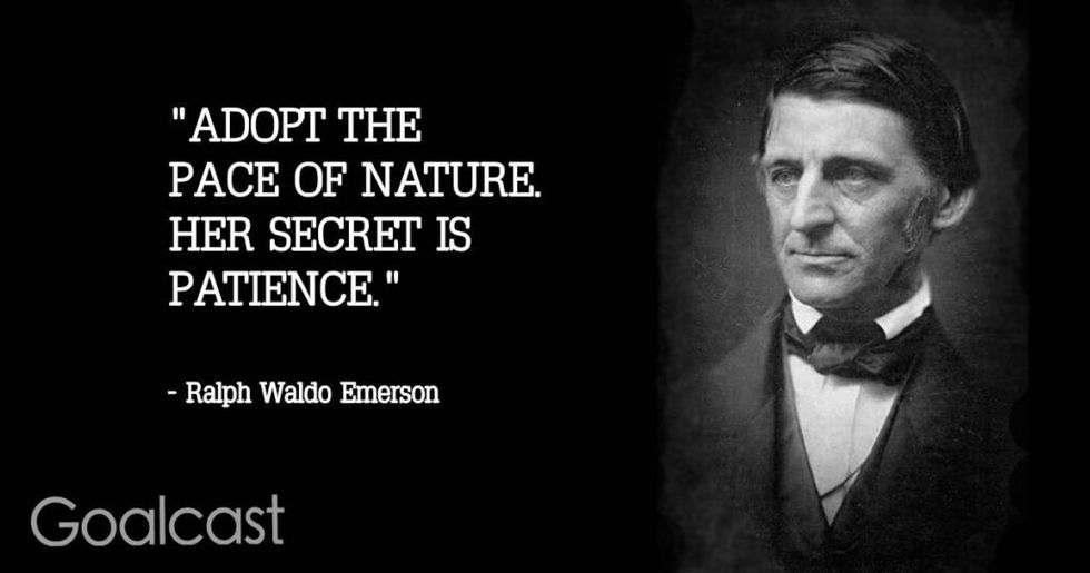 Nature quotes 1 1024x538