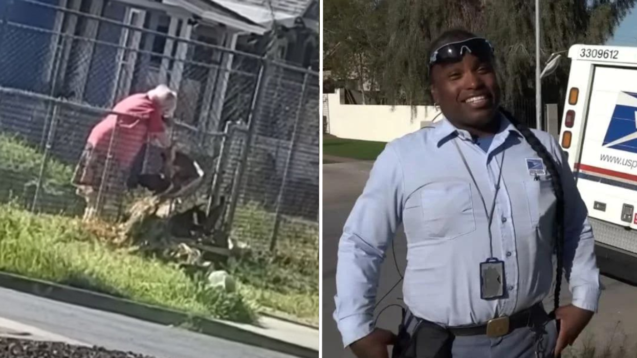 Postman Notices 81-Year-Old Struggling in Her Yard - So He Takes a Photo to Post Online