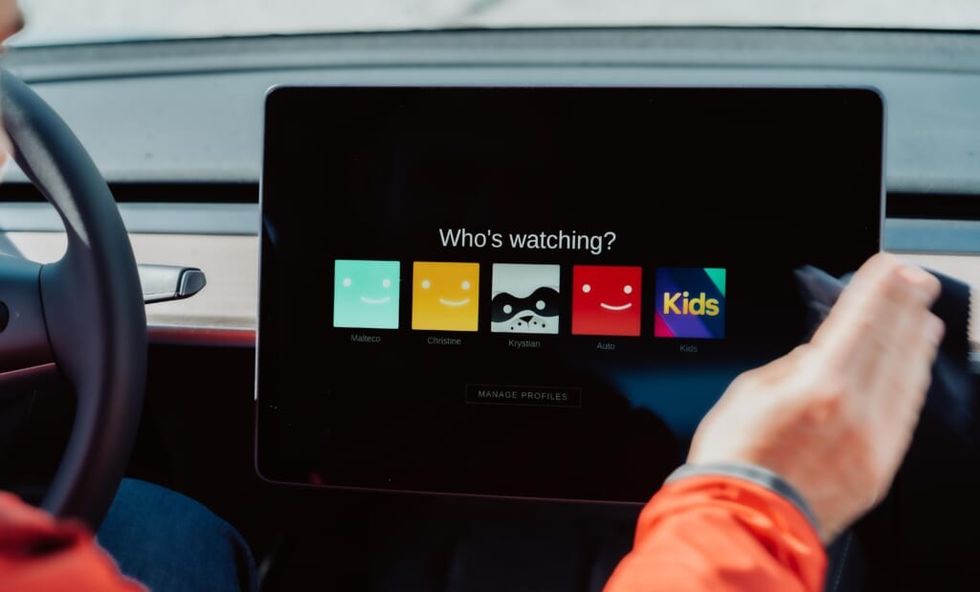 netflix screen users in a family