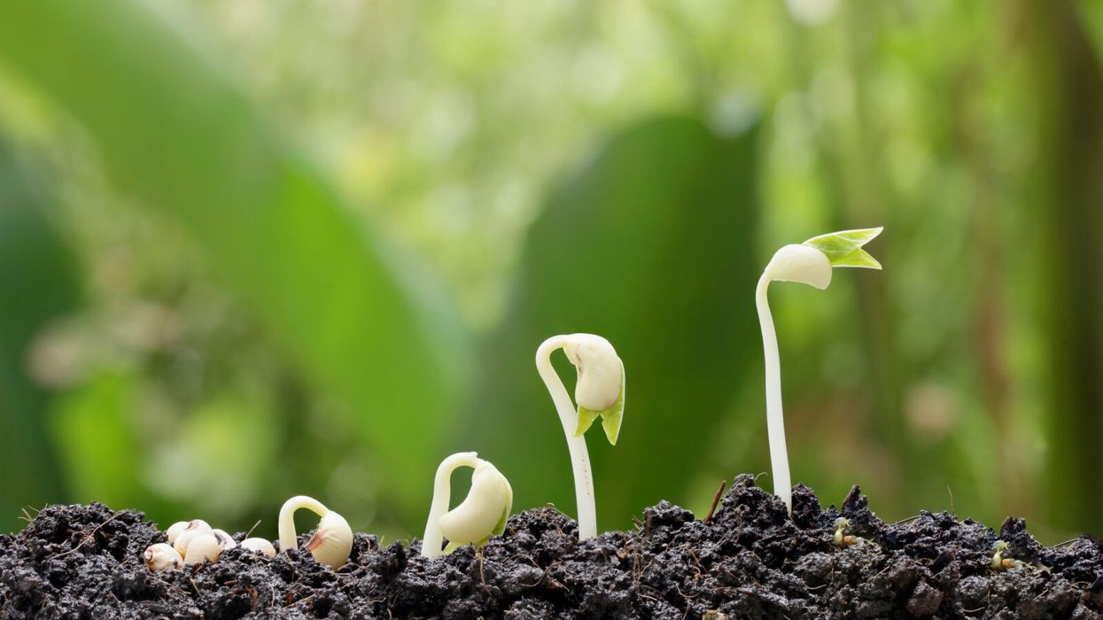 The Psychology of Habits: How to Become a Master of Change