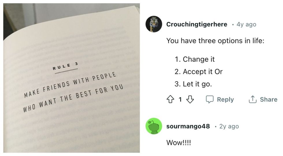 People Are Sharing Their One Simple Rule That Would Fix the World - And the Replies Are Golden