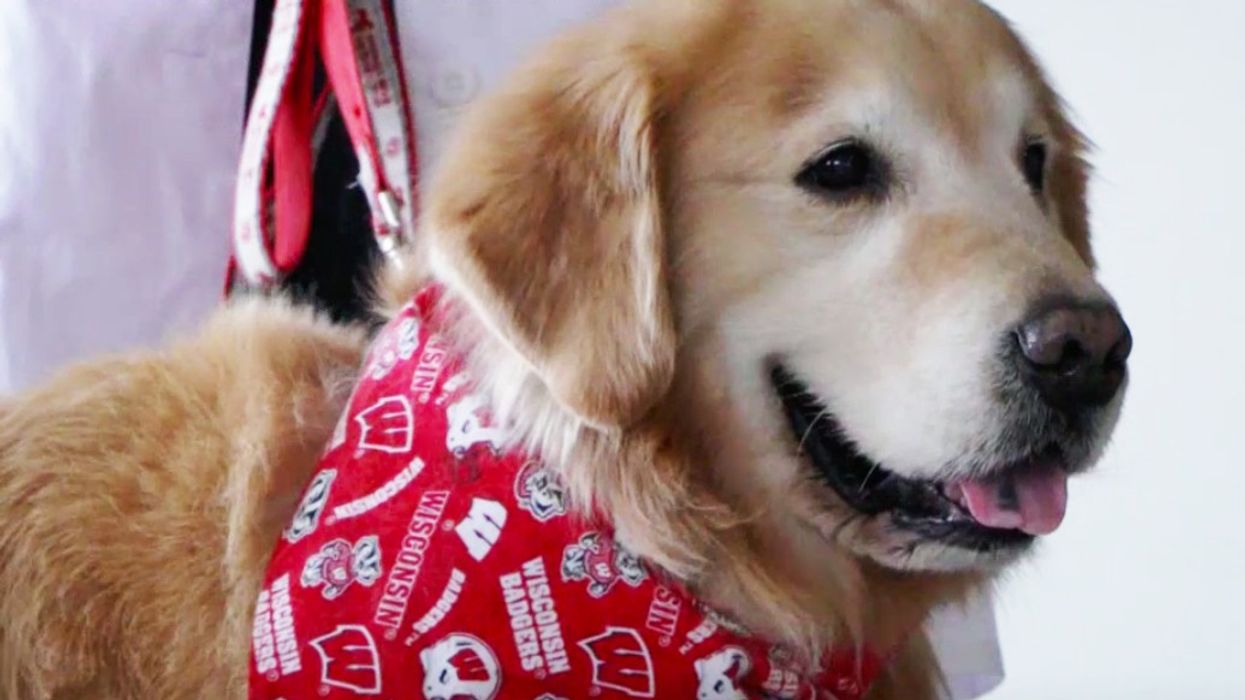 Man Buys $6 Million Super Bowl Ad To Pay Back the Heroes Who Saved His Dog