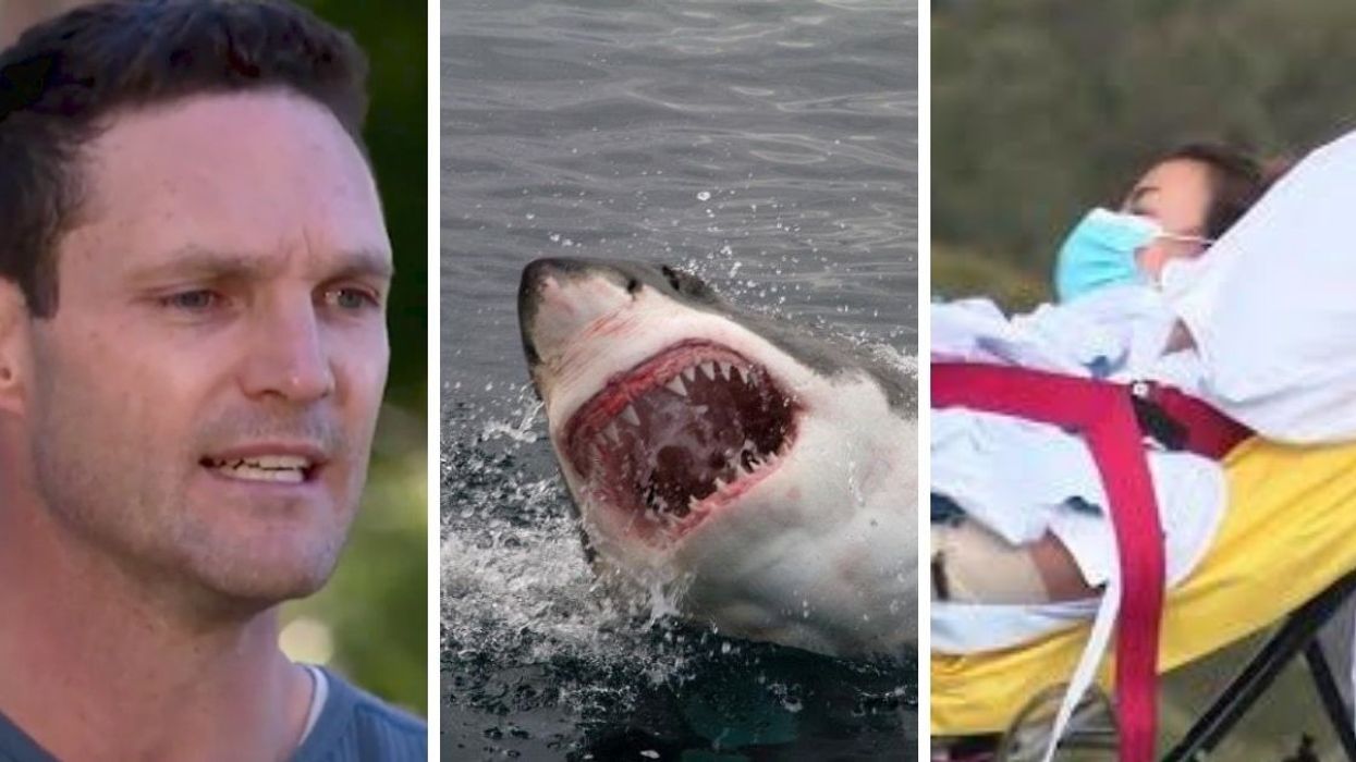 Heroic Husband Jumps To Save His Wife's Life From A Deadly Shark Attack