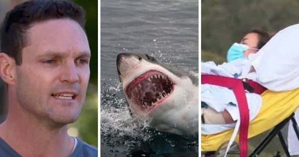 Heroic Husband Jumps To Save His Wife's Life From A Deadly Shark Attack