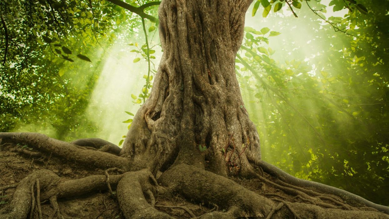 How to Build Strong Foundations in Order to Attract Friends of Value