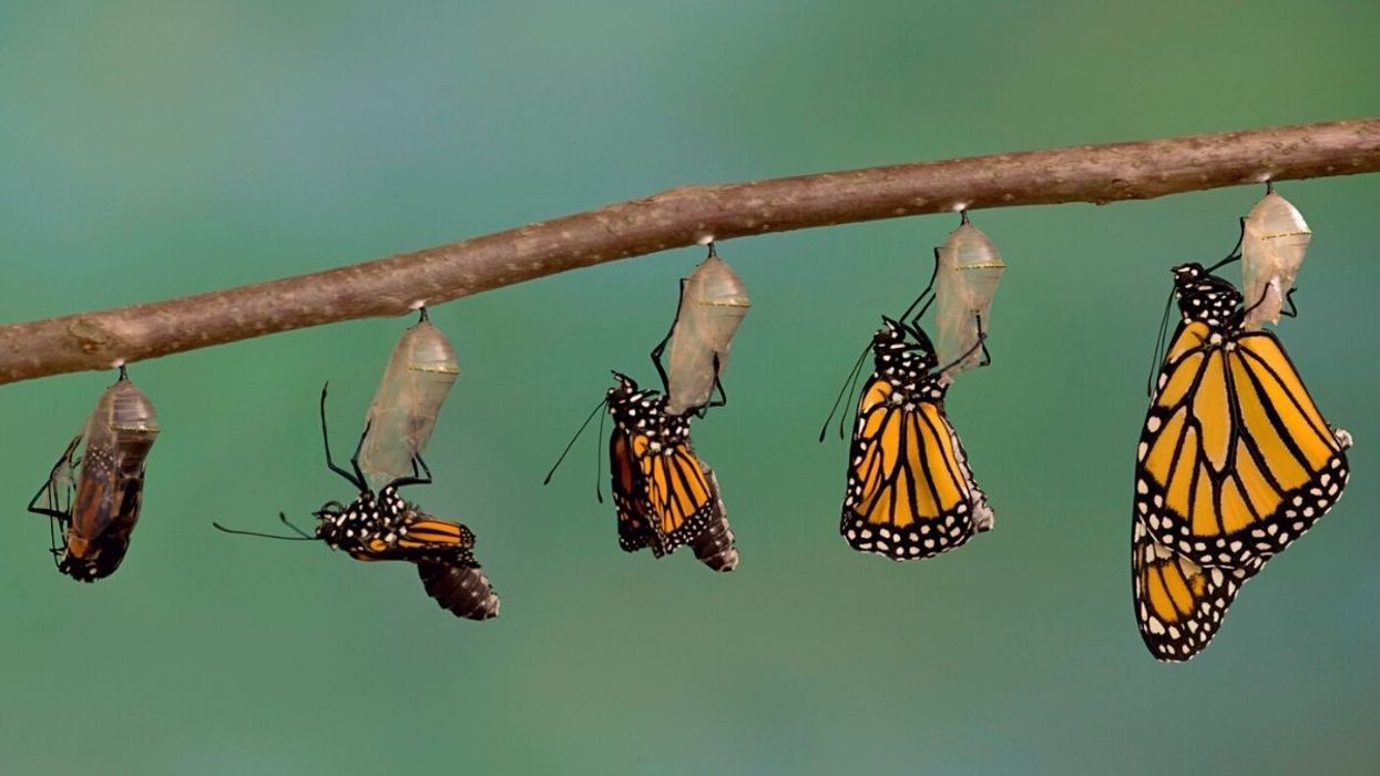 The 5 Stages of Change - And How To Apply Them