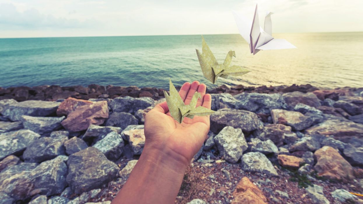 Fly Free: 7 Tips for Becoming a Successful Freelancer