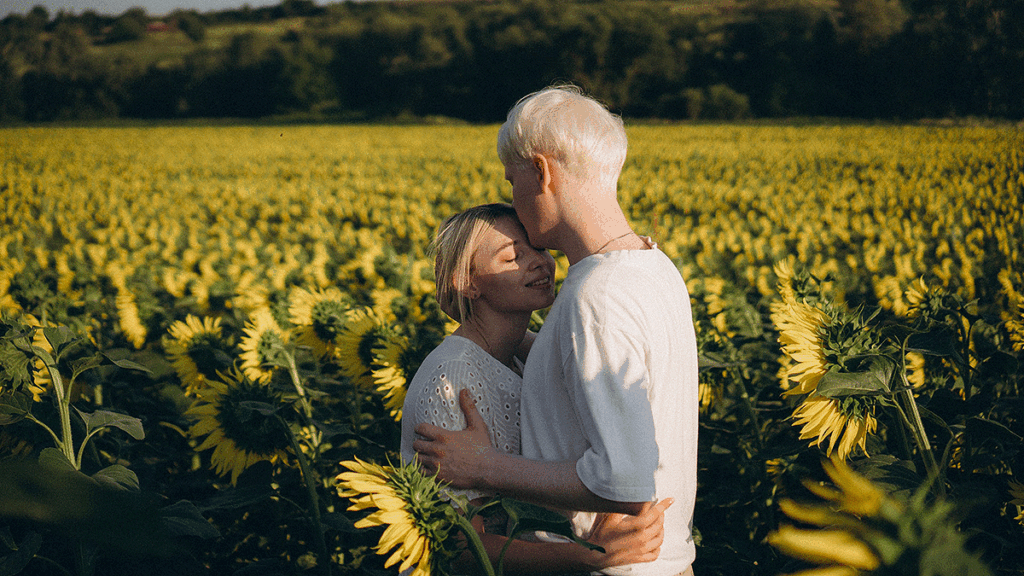Sunflowers9 1024x576