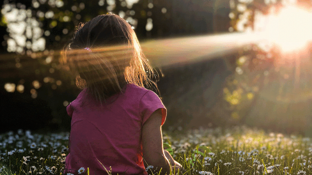 Sunshine Photo by John Towner on Unsplash