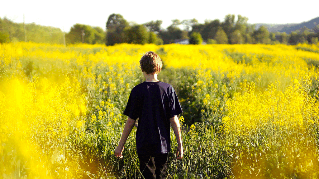 Sunshine Photo by Rachael Crow at Unsplash