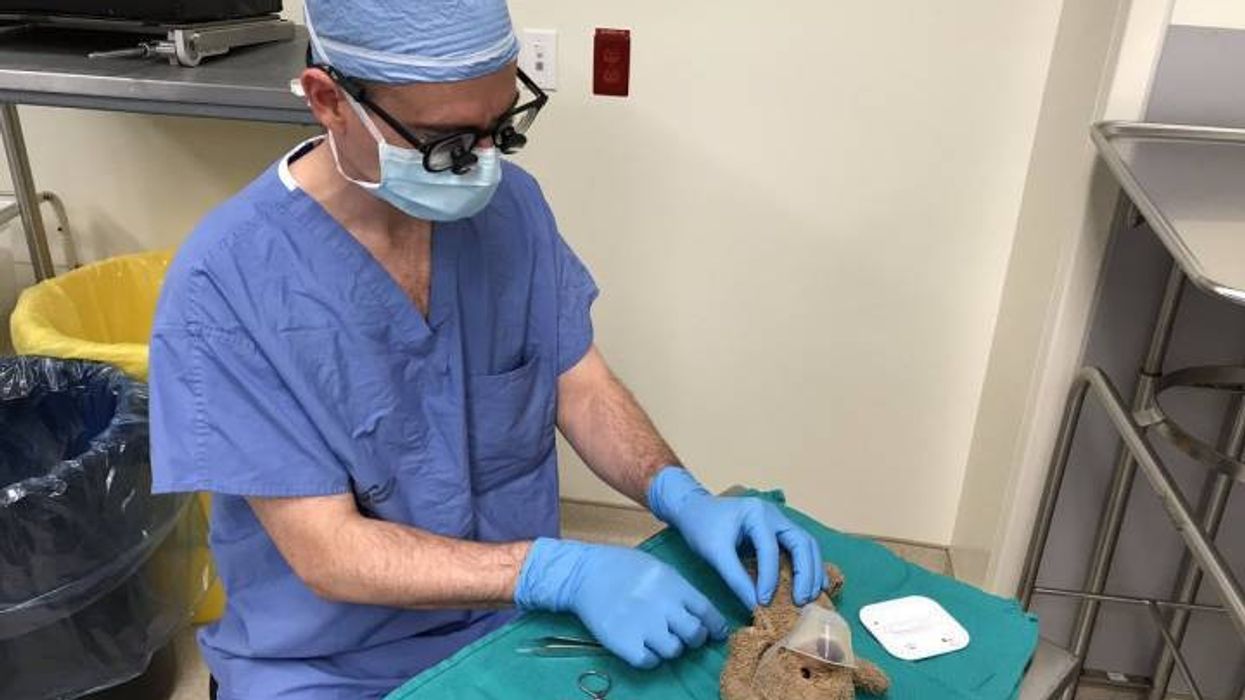 Surgeon Goes Viral For Sewing Up 8-Year-Old Boy's Teddy Bear After Operation