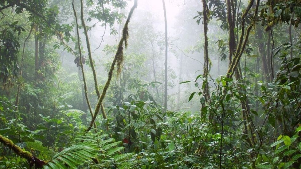 sustainable life style