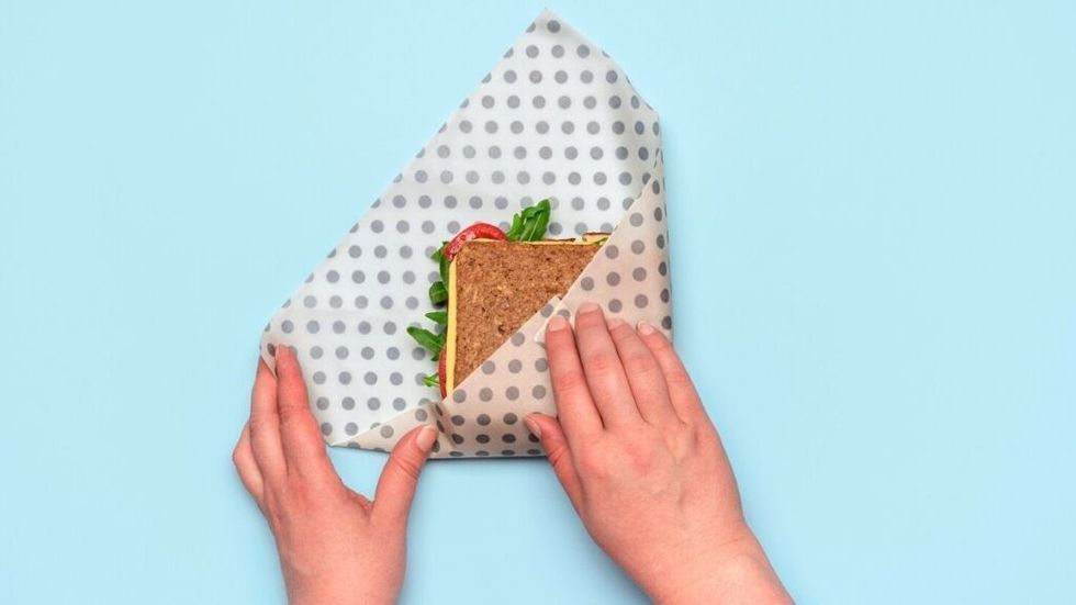 sustainable lifestyle