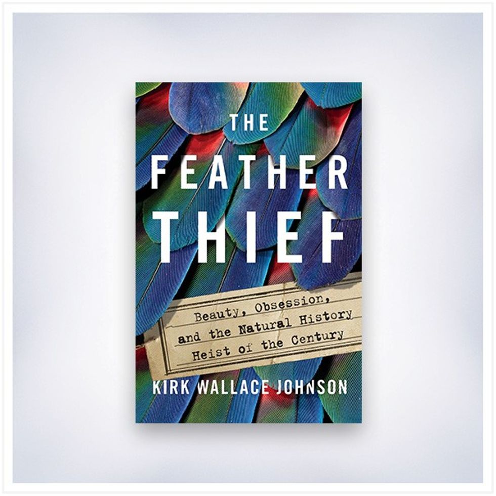 The feather thief