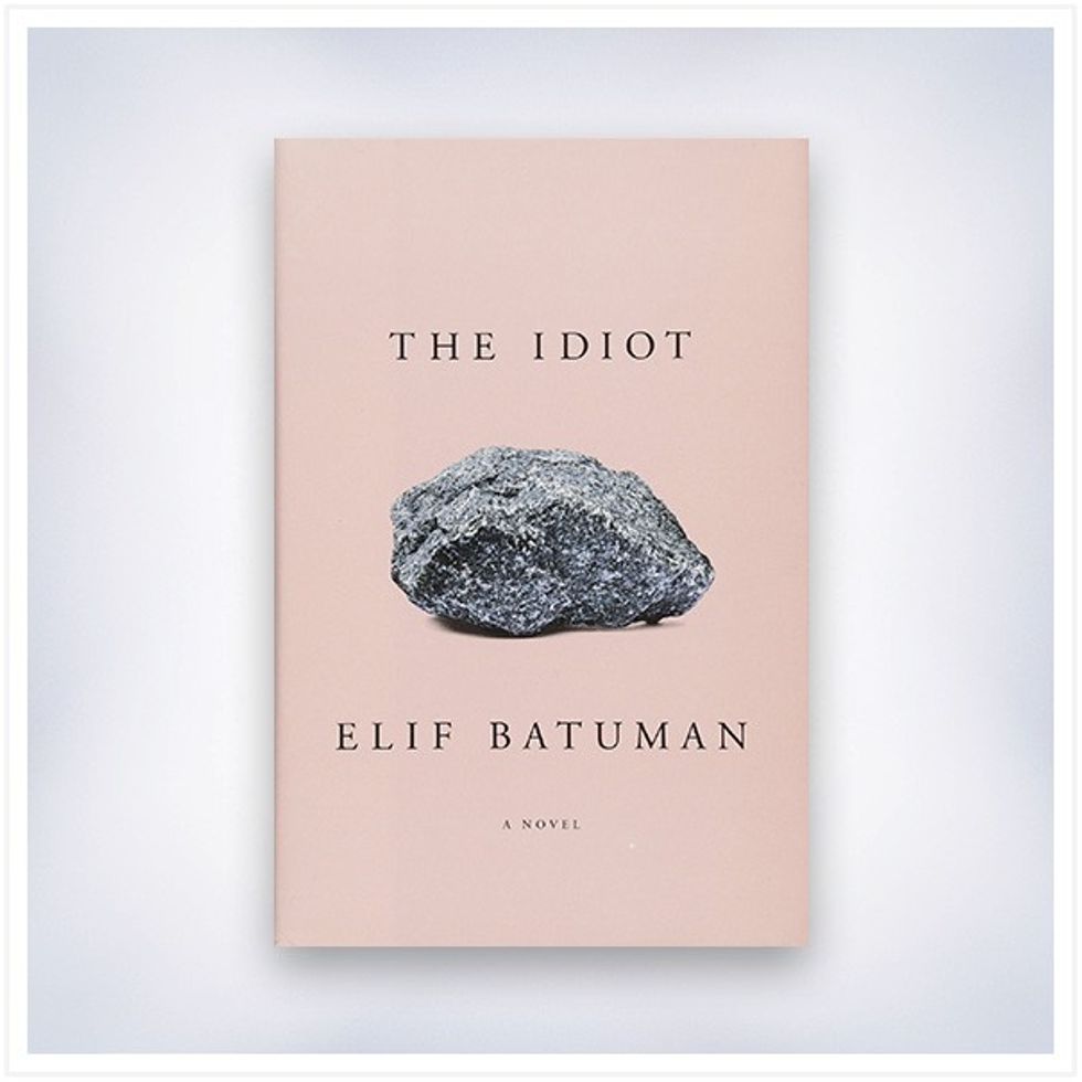 the-idiot-book