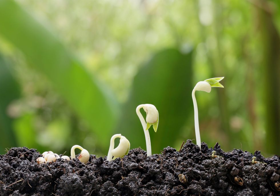 The Psychology of Habit: How to Become a Master of Change