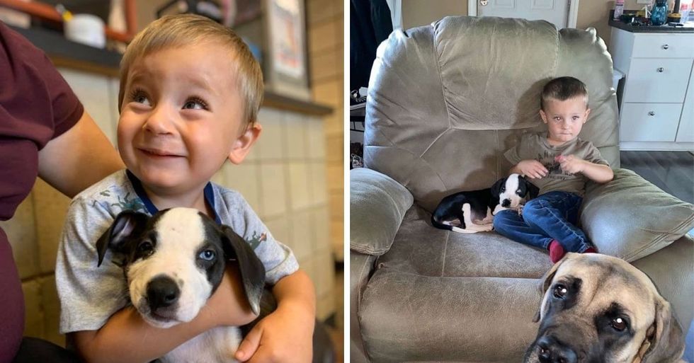 Parents Surprise 2-Year-Old Son Born With Cleft Lip With Puppy Just Like Him