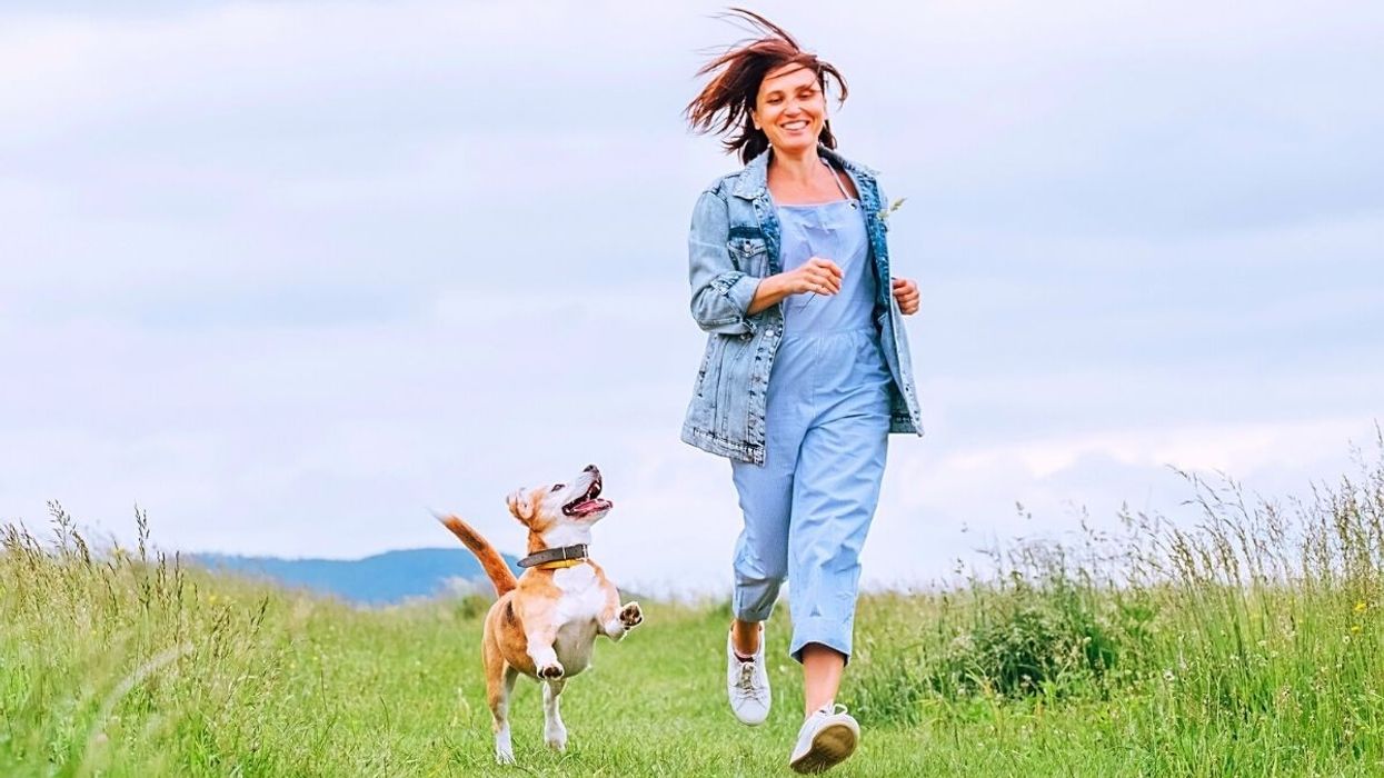 What is Wellness? Understanding the Concept of Wellness