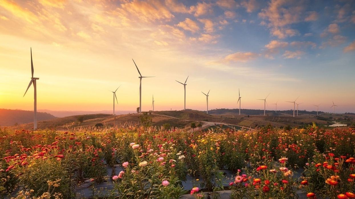 ESG Investing: What You Need to Know