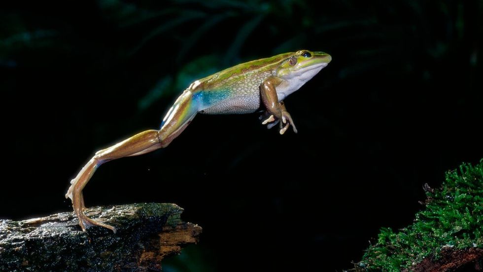 what is time management