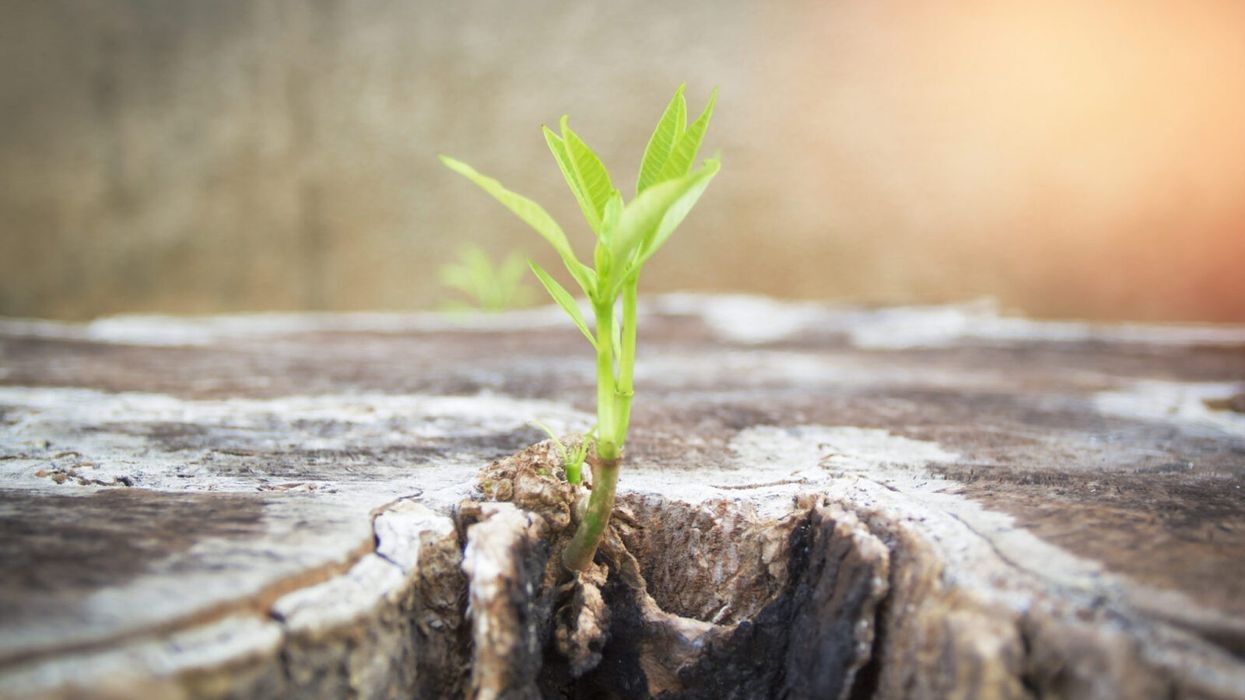 When Quitting Feels Like the Only Option