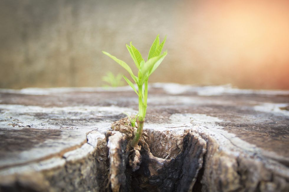 When Quitting Feels Like the Only Option