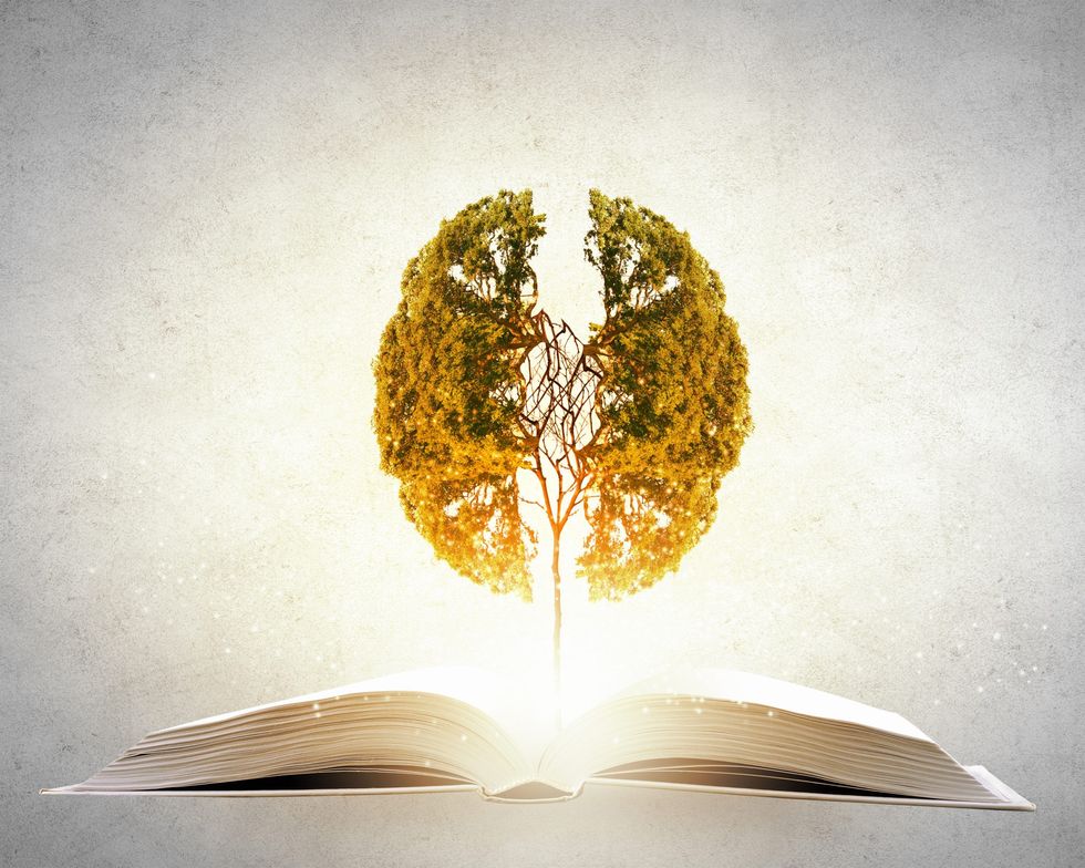 Why reading is essential to your brain health and personal growth