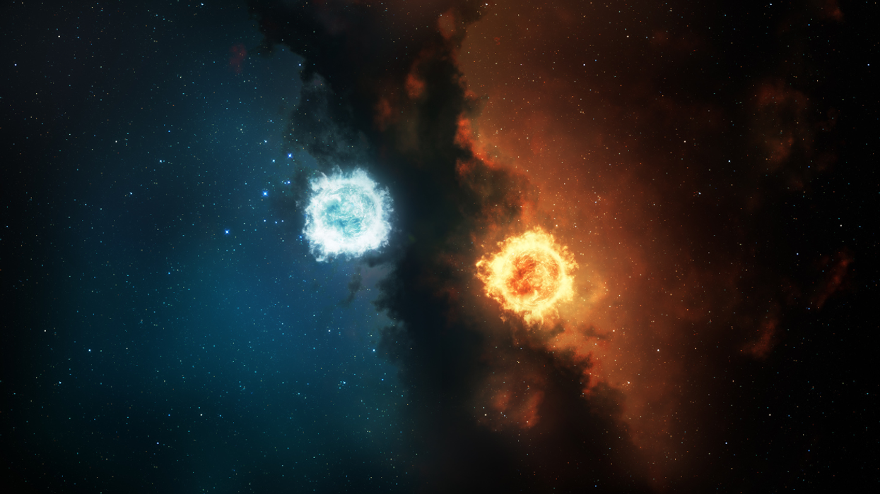 Dark Triad vs. Light Triad: How To Know You're 'A Good Person' (And What to Do If You're Not)