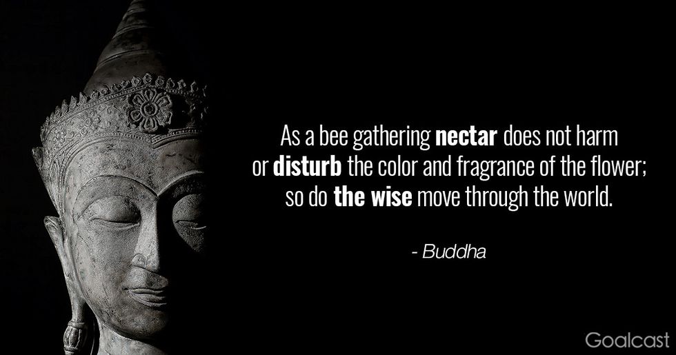 Zen quotes and proverbs - Buddha - so do the wise move through the world