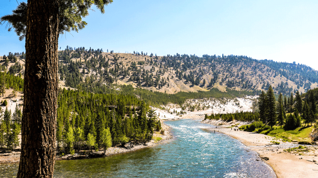 Zone of death yellowstone 1024x576
