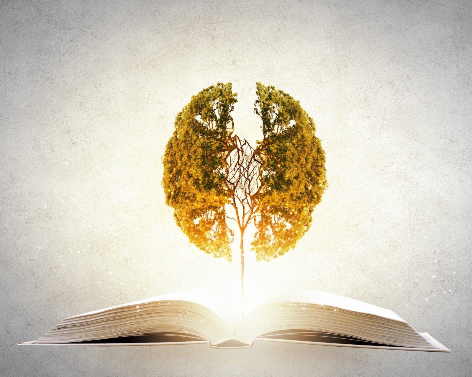 Reading and brain health