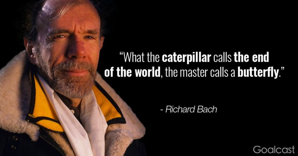 Richard-bach-quote-perspective-what-caterpillar-calls-end-world