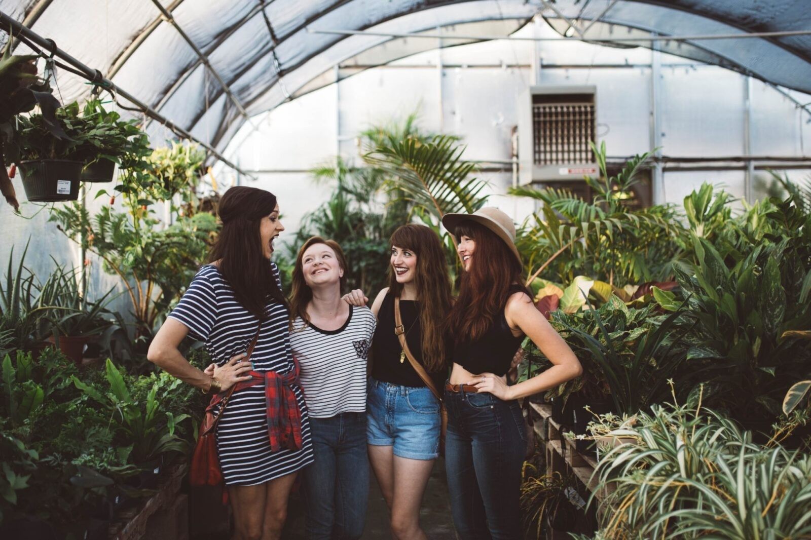 Friends-in-a-greenhouse