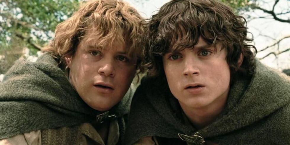 Sam and Frodo in Lord of the Rings