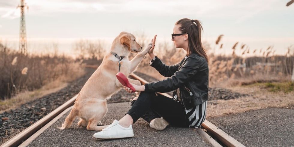 Woman sitting with dog on train track by Richard Brutyo from Unsplash