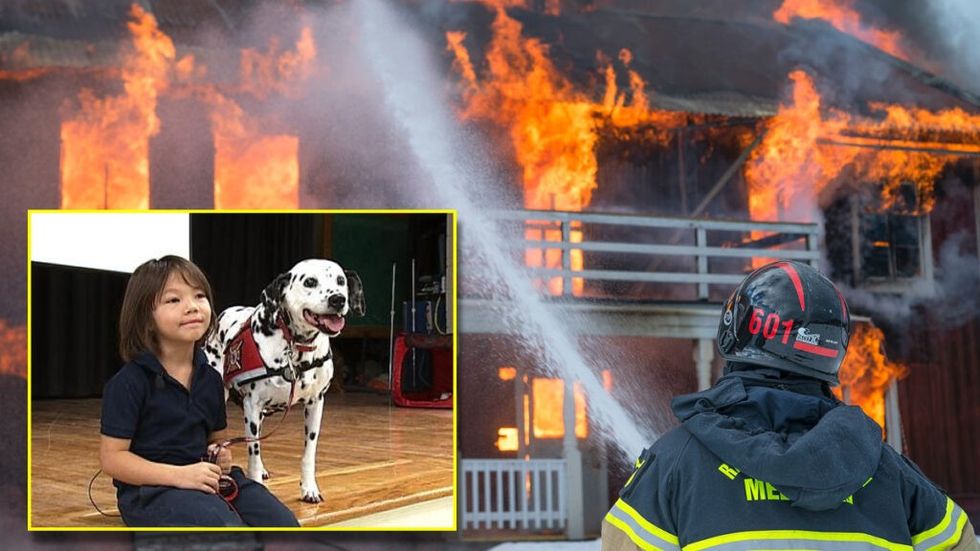 Девојчица и њен пас гледају како ватрогасац гаси пожар у кући