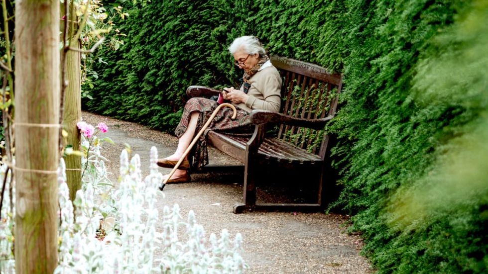 Old Woman sits on bench looking at her phone