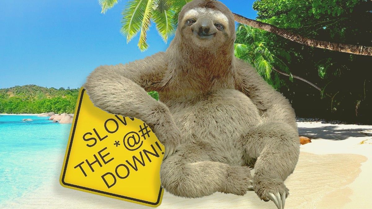 Sloth with a slow down signs on a beach