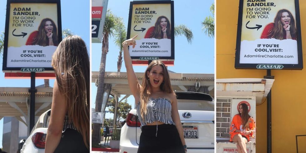 Adam Sandler Billboard Banners pentru Charlotte Jolie
