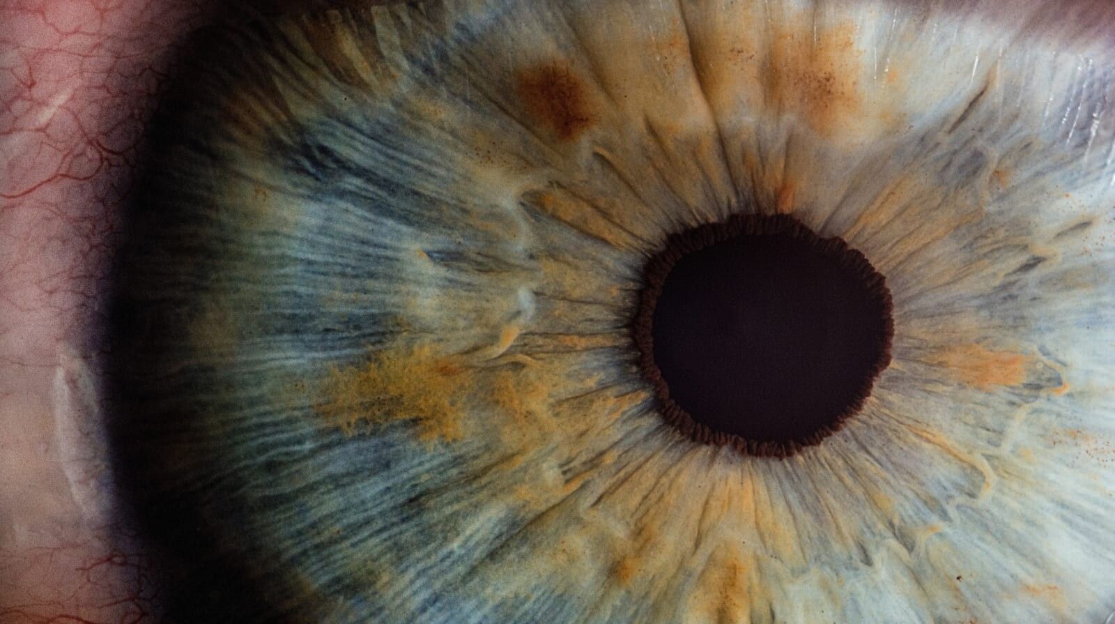 close up of human pupil