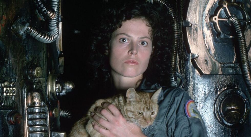 Sigourney Weaver in the 1979 Alien film, holding her cat
