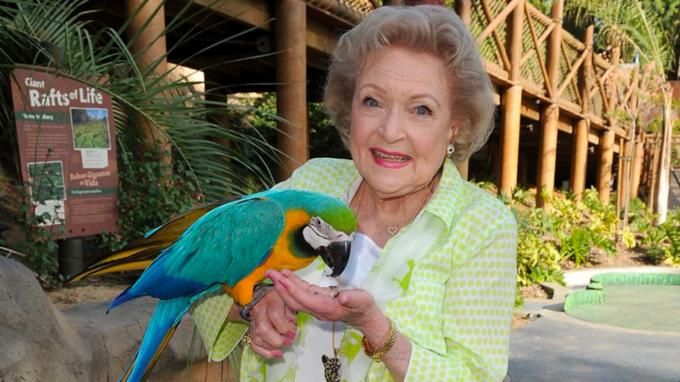 Betty White holding a parrot at the Los Angeles Zoo.