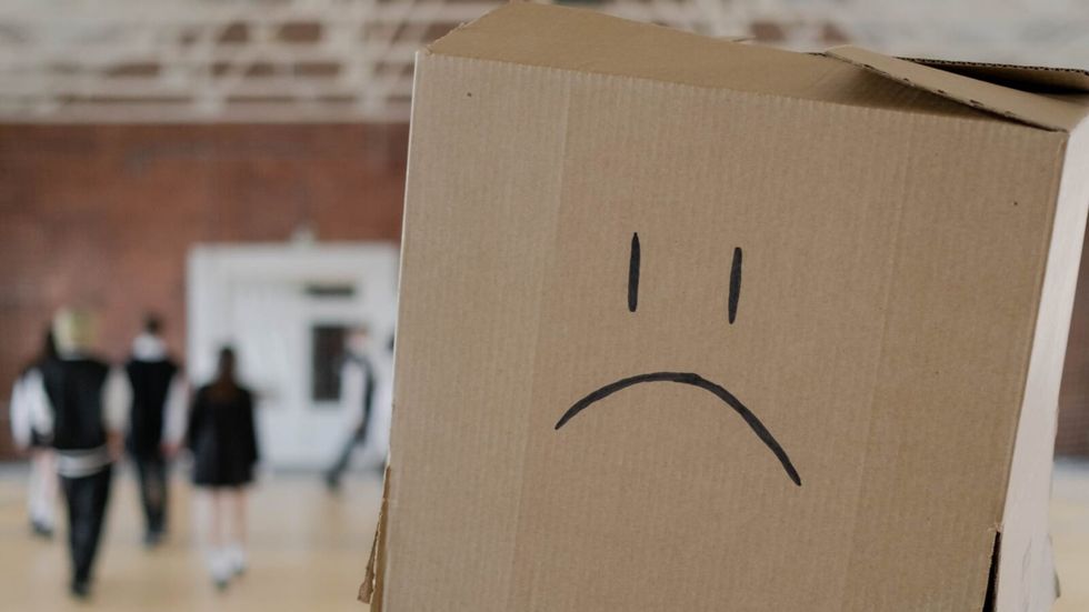 person wearing a brown cardboard box with a sad face on it