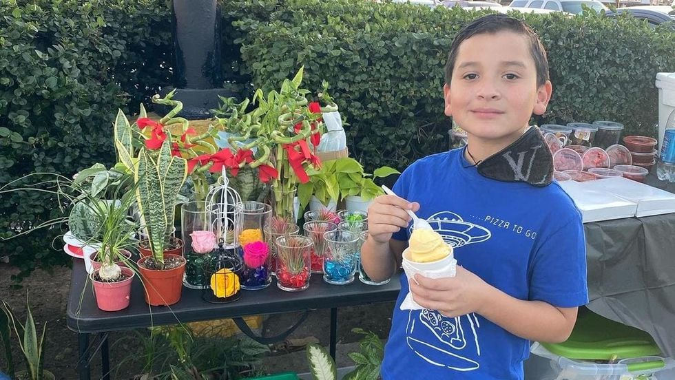 little boy in blue shirt standing with some plants