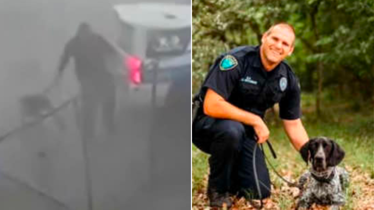 Texas Police Officer Takes On a Tornado to Rescue His K-9 Partner in Incredible Viral Video