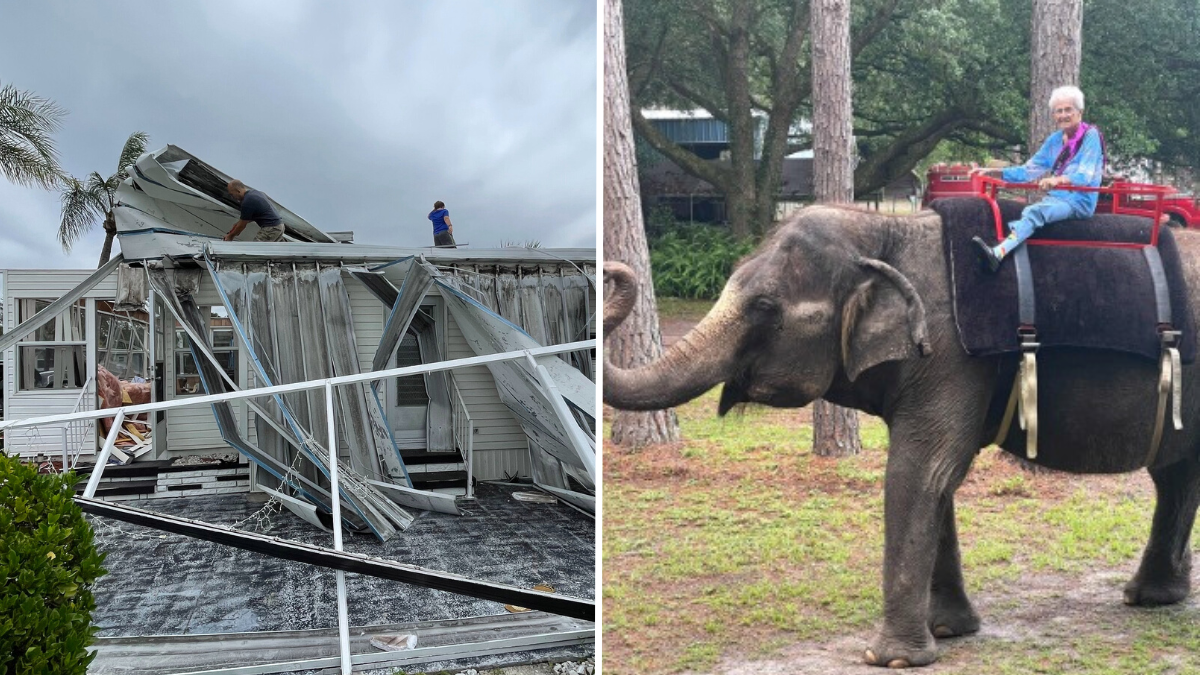 destroyed home and an elderly woman riding an elephant