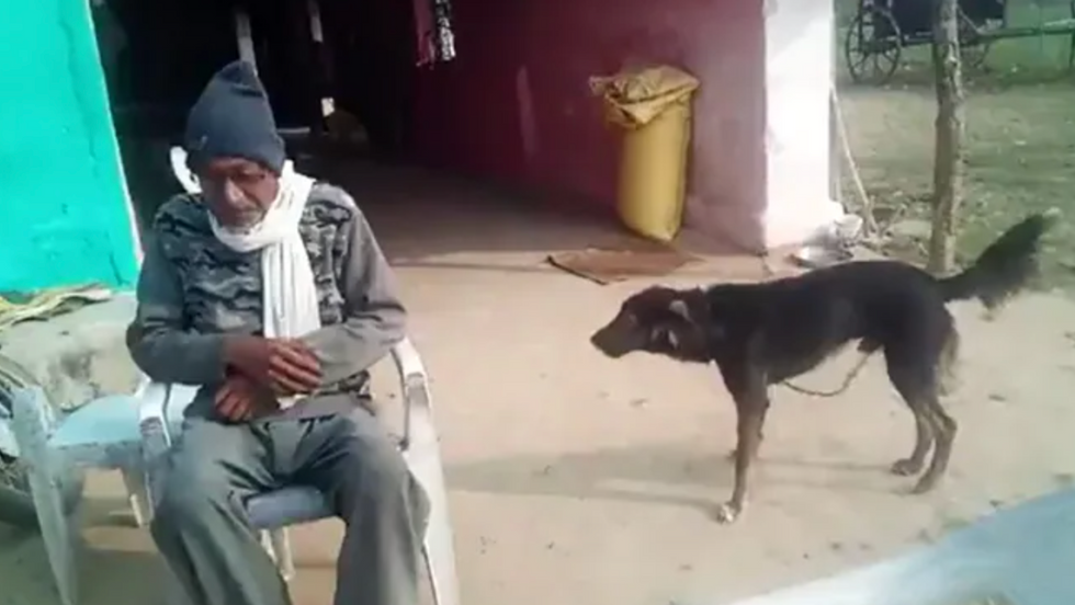 elderly man and a dog